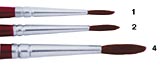 Camel's Hair Brushes